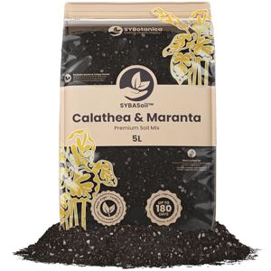 Sybotanica Terreau calathea et Maranta 5 L Substrat Coco Premium pour Calathea, Maranta, Bégonia, Strelitzia sans Tourbe Engrais Organique 180 Jours Idéal pour Plantes d'intérieur - Publicité Sybotanica Terreau calathea et Maranta 5 L Substrat Coco Premium pour Calathea, Maranta, Bégonia, Strelitzia sans Tourbe Engrais Organique 180 Jours Idéal pour Plantes d'intérieur - Publicité