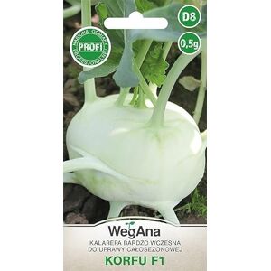 WegAna Korfu F1 Graines de chou-rave 0,5g Semences, graines de légumes robustes, graines de légumes, graines de culture - Publicité WegAna Korfu F1 Graines de chou-rave 0,5g Semences, graines de légumes robustes, graines de légumes, graines de culture - Publicité