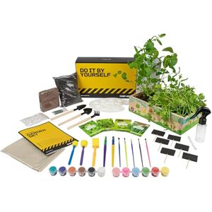 DIBYS Kit de Jardinage Set Complet avec Graines d'Herbes, Outils en Bois, Terreau, Peintures & Boîte de Culture à Peindre Idée Cadeau Créative Set de Plantation - Publicité DIBYS Kit de Jardinage Set Complet avec Graines d'Herbes, Outils en Bois, Terreau, Peintures & Boîte de Culture à Peindre Idée Cadeau Créative Set de Plantation - Publicité