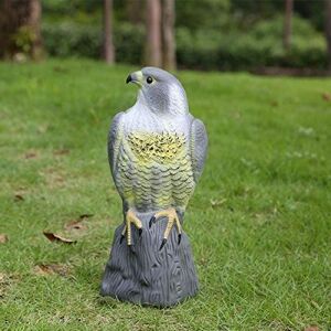 garden mile Répulsif réaliste pour Oiseaux et Insectes nuisibles, protège Le Jardin des prédateurs, Statue de Faucon en Plastique - Publicité garden mile Répulsif réaliste pour Oiseaux et Insectes nuisibles, protège Le Jardin des prédateurs, Statue de Faucon en Plastique - Publicité