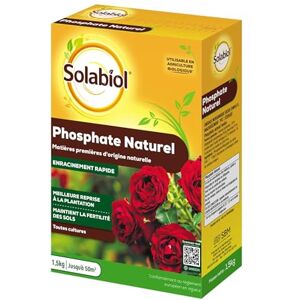 Solabiol Engrais Phosphate Naturel 1,5Kg Jusqu'à 50m² Améliore La Floraison Optimise La Formation Des Racines Pour Toutes Les Cultures Utilisable En Agriculture Biologique SOPHO15G10N - Publicité Solabiol Engrais Phosphate Naturel 1,5Kg Jusqu'à 50m² Améliore La Floraison Optimise La Formation Des Racines Pour Toutes Les Cultures Utilisable En Agriculture Biologique SOPHO15G10N - Publicité