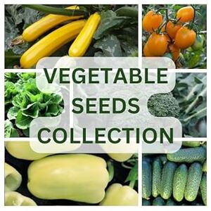 Nojaus Sėklos Nojus Collection exclusive de graines de légumes – 20 sachets hermétiques Kit de démarrage de graines de légumes variées de légumes 20 variétés - Publicité Nojaus Sėklos Nojus Collection exclusive de graines de légumes – 20 sachets hermétiques Kit de démarrage de graines de légumes variées de légumes 20 variétés - Publicité