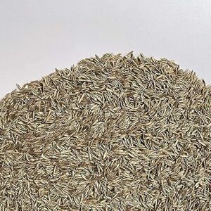 Il Contadino - Antichi Sapori FESTUCA ARUNDINACEA Tapis Herbeux Le Paysan (5 Kg) - Publicité Il Contadino - Antichi Sapori FESTUCA ARUNDINACEA Tapis Herbeux Le Paysan (5 Kg) - Publicité