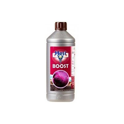 Hesi Boost 1L Booster de floraison pour plantes à fleurs - Publicité Hesi Boost 1L Booster de floraison pour plantes à fleurs - Publicité