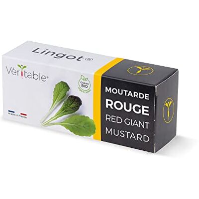 Véritable LINGOT MOUTARDE ROUGE - Publicité Véritable LINGOT MOUTARDE ROUGE - Publicité