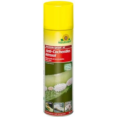 Neudorff Spruzit Anti-Cochenilles Aérosol – Élimine œufs, larves et adultes des cochenilles, action choc, prêt à l’emploi, utilisable en agriculture biologique, 200 ml - Publicité Neudorff Spruzit Anti-Cochenilles Aérosol – Élimine œufs, larves et adultes des cochenilles, action choc, prêt à l’emploi, utilisable en agriculture biologique, 200 ml - Publicité
