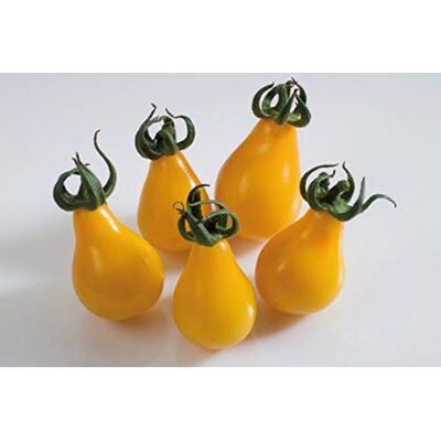 Semisauvage Permaculture 35 Graines de Tomate Cerise Poire Jaune légumes semis potager méthode BIO - Publicité Semisauvage Permaculture 35 Graines de Tomate Cerise Poire Jaune légumes semis potager méthode BIO - Publicité