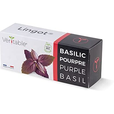 Véritable Lingot® Basilic Pourpre BIO Compatible Potager d'Intérieur ® et Exky® Recharge prête à l'emploi Substrat avec Graines Intégrées - Publicité Véritable Lingot® Basilic Pourpre BIO Compatible Potager d'Intérieur ® et Exky® Recharge prête à l'emploi Substrat avec Graines Intégrées - Publicité