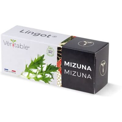 Véritable Lingot® Mizuna BIO Compatible Potager d'Intérieur ® et Exky® Recharge prête à l'emploi Substrat avec Graines Intégrées - Publicité Véritable Lingot® Mizuna BIO Compatible Potager d'Intérieur ® et Exky® Recharge prête à l'emploi Substrat avec Graines Intégrées - Publicité
