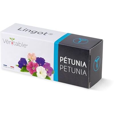 Véritable Lingot® Pétunia Compatible Potager d'Intérieur ® et Exky® Recharge prête à l'emploi Substrat avec Graines Intégrées… - Publicité Véritable Lingot® Pétunia Compatible Potager d'Intérieur ® et Exky® Recharge prête à l'emploi Substrat avec Graines Intégrées… - Publicité