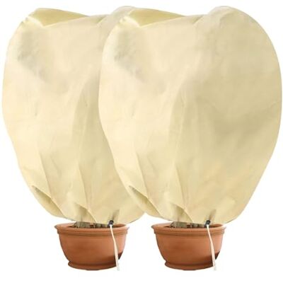 Hydrogarden Housse hivernage pour Plantes, Housse d'hivernage Non tissée 80 g/m² Protection Contre Le Gel des Plantes en Pots et rosiers (80x100cm) 2 pièces - Publicité Hydrogarden Housse hivernage pour Plantes, Housse d'hivernage Non tissée 80 g/m² Protection Contre Le Gel des Plantes en Pots et rosiers (80x100cm) 2 pièces - Publicité