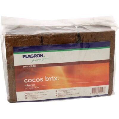 PLAGRON Cocos Brix x 6 - Publicité PLAGRON Cocos Brix x 6 - Publicité