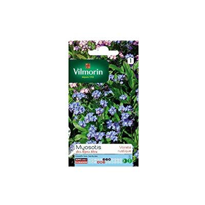Vilmorin Sachet graines Myosotis des alpes bleu - Publicité Vilmorin Sachet graines Myosotis des alpes bleu - Publicité