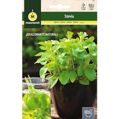 M MASCARELL SEMILLAS DESDE 1920 Mascarell STEVIA Graines d'herbes aromatiques à planter, créez votre propre potager à la maison, 10-15 SEM - Publicité M MASCARELL SEMILLAS DESDE 1920 Mascarell STEVIA Graines d'herbes aromatiques à planter, créez votre propre potager à la maison, 10-15 SEM - Publicité