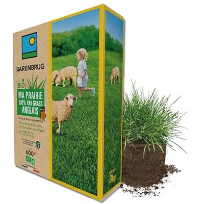 Barenbrug Prairie 100% Ray-grass anglais BIO Rapide d’Installation Polyvalente et Appétente Très Bonne Pérennité 4 ans et + Production Alimentation pour Animaux Fabriqué en France 3KG - Publicité Barenbrug Prairie 100% Ray-grass anglais BIO Rapide d’Installation Polyvalente et Appétente Très Bonne Pérennité 4 ans et + Production Alimentation pour Animaux Fabriqué en France 3KG - Publicité