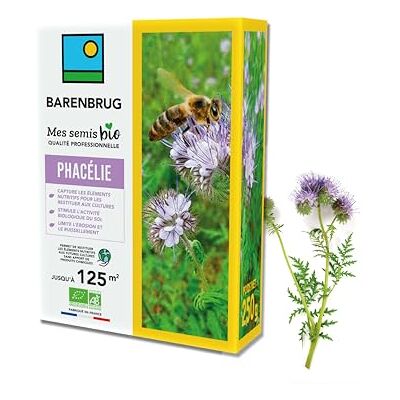 Barenbrug Phacélie BIO Enrichit Naturellement Le Sol 250G - Publicité Barenbrug Phacélie BIO Enrichit Naturellement Le Sol 250G - Publicité
