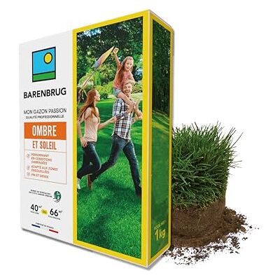 Barenbrug Gazon Ombre et Soleil Performant en Conditions Ombragées Adapté aux Zones Ensoleillées Fin et Dense pour Végétaliser des Petits Jardins Urbains Fabriqué en France 1KG - Publicité Barenbrug Gazon Ombre et Soleil Performant en Conditions Ombragées Adapté aux Zones Ensoleillées Fin et Dense pour Végétaliser des Petits Jardins Urbains Fabriqué en France 1KG - Publicité