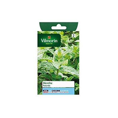 Vilmorin Sachet graines Menthe poivrée - Publicité Vilmorin Sachet graines Menthe poivrée - Publicité