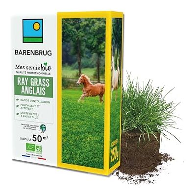 Barenbrug Ray-Grass Anglais Bio Rapide d’Installation 250G - Publicité Barenbrug Ray-Grass Anglais Bio Rapide d’Installation 250G - Publicité