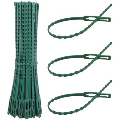Linxor Lot de 600 Attaches crantées pour Plantes, Supports, Tuteurs, Liens réglables pour arbustes, potagers Vert Plusieurs Dimensions - Publicité Linxor Lot de 600 Attaches crantées pour Plantes, Supports, Tuteurs, Liens réglables pour arbustes, potagers Vert Plusieurs Dimensions - Publicité
