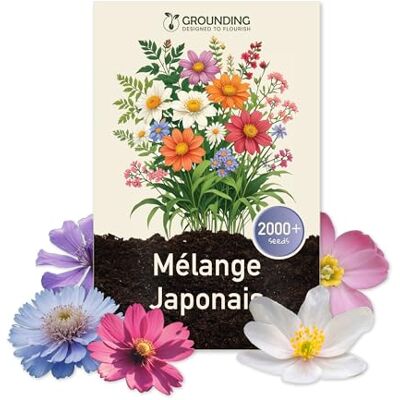 Grounding – Graines de Gazon Japonais Fleuri, Mélange, 2000+ Fleurs de 30 cm Maximum pour Massifs et Bordures, Attirent Abeilles et Papillons, Couvre 25 m², Qualité Européenne - Publicité Grounding – Graines de Gazon Japonais Fleuri, Mélange, 2000+ Fleurs de 30 cm Maximum pour Massifs et Bordures, Attirent Abeilles et Papillons, Couvre 25 m², Qualité Européenne - Publicité