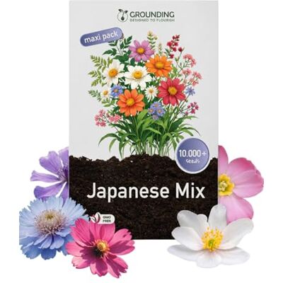 Grounding Maxi – Graines de Gazon Japonais Fleuri, Mélange, 10000+ Fleurs de 30 cm Maximum pour Massifs et Bordures, Attirent Abeilles et Papillons, Couvre 5 m², Qualité Européenne - Publicité Grounding Maxi – Graines de Gazon Japonais Fleuri, Mélange, 10000+ Fleurs de 30 cm Maximum pour Massifs et Bordures, Attirent Abeilles et Papillons, Couvre 5 m², Qualité Européenne - Publicité