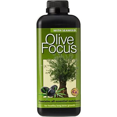 Growth Technology Ltd - Olive Focus - 1 Litre - Engrais - Publicité Growth Technology Ltd - Olive Focus - 1 Litre - Engrais - Publicité