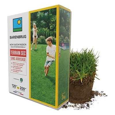 Barenbrug Gazon Terrain Sec sans Arrosage Économe en Eau 3KG - Publicité Barenbrug Gazon Terrain Sec sans Arrosage Économe en Eau 3KG - Publicité