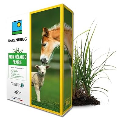 Barenbrug Mélange Prairie Productif et Appétent Rapide d’Installation Très Bonne Pérennité Production Alimentation pour Animaux Fabriqué en France 1KG - Publicité Barenbrug Mélange Prairie Productif et Appétent Rapide d’Installation Très Bonne Pérennité Production Alimentation pour Animaux Fabriqué en France 1KG - Publicité