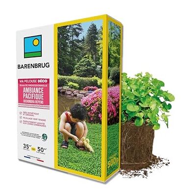 Barenbrug Pelouse Ambiance Pacifique Dichondra Très Esthétique et Original Feuillage Vert Tendre Parfaitement Adapté aux Zones Ombragées Aucun Déchet de Tonte Fabriqué en France 500G - Publicité Barenbrug Pelouse Ambiance Pacifique Dichondra Très Esthétique et Original Feuillage Vert Tendre Parfaitement Adapté aux Zones Ombragées Aucun Déchet de Tonte Fabriqué en France 500G - Publicité