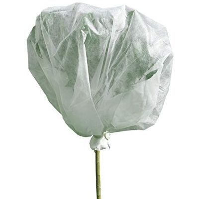 Linxor Voile d'hivernage pour Plantes 2m x 10m 30g/m² Blanc - Publicité Linxor Voile d'hivernage pour Plantes 2m x 10m 30g/m² Blanc - Publicité