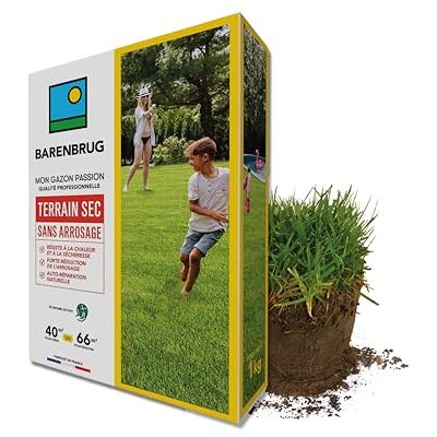 Barenbrug Gazon Terrain Sec sans arrosage Résiste à la Chaleur et à la Sécheresse Forte Réduction de l’Arrosage Autoréparation Naturelle Économe en Eau Fabriqué en France 1KG - Publicité Barenbrug Gazon Terrain Sec sans arrosage Résiste à la Chaleur et à la Sécheresse Forte Réduction de l’Arrosage Autoréparation Naturelle Économe en Eau Fabriqué en France 1KG - Publicité