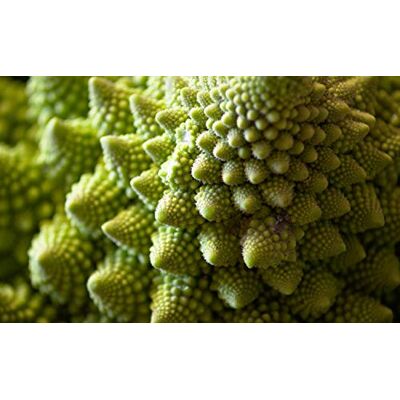 Semisauvage Permaculture 100 Graines de Chou Romanesco Natalino légume ancien potager semences paysannes reproductibles SemiSauvage - Publicité Semisauvage Permaculture 100 Graines de Chou Romanesco Natalino légume ancien potager semences paysannes reproductibles SemiSauvage - Publicité