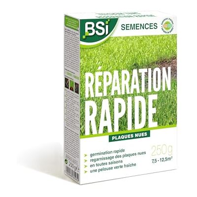 BSI Semences De Gazon Réparation Rapide Avec Enrobage Protecteur Haute qualité Jusqu'à 12,5 m² 250g, Beige - Publicité BSI Semences De Gazon Réparation Rapide Avec Enrobage Protecteur Haute qualité Jusqu'à 12,5 m² 250g, Beige - Publicité