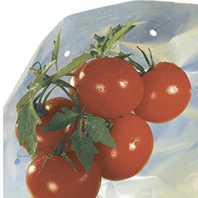 NORTENE Tube de croissance pour tomate - Film perforé jaune avec liens - Couverture de plante - Publicité NORTENE Tube de croissance pour tomate - Film perforé jaune avec liens - Couverture de plante - Publicité