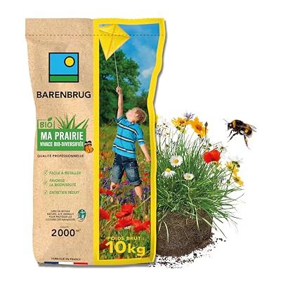Barenbrug Prairie Vivace Biodiversifiée BIO Facile à Installer Favorise la Biodiversité Entretien Réduit Refuge Naturel Animaux pour Protection contre Ravageurs Fabriqué en France 10KG - Publicité Barenbrug Prairie Vivace Biodiversifiée BIO Facile à Installer Favorise la Biodiversité Entretien Réduit Refuge Naturel Animaux pour Protection contre Ravageurs Fabriqué en France 10KG - Publicité