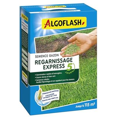 Algoflash Semence Gazon Regarnissage Express 5 Jours 2,5 Kg, Verte - Publicité Algoflash Semence Gazon Regarnissage Express 5 Jours 2,5 Kg, Verte - Publicité