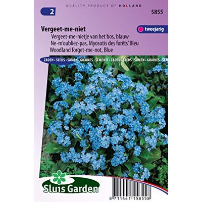 Arborix, plus vert - moins cher Ne-m'oubliez-pas, Myosotis de forêts Bleu Graines De Fleurs Bisannuelles - Publicité Arborix, plus vert - moins cher Ne-m'oubliez-pas, Myosotis de forêts Bleu Graines De Fleurs Bisannuelles - Publicité