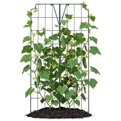 bellissa treillis pour légumes etconcombre 77 x H.121 cm support pour légumes grimpants Treillage pour concombre. Publicité bellissa treillis pour légumes etconcombre 77 x H.121 cm support pour légumes grimpants Treillage pour concombre. Publicité
