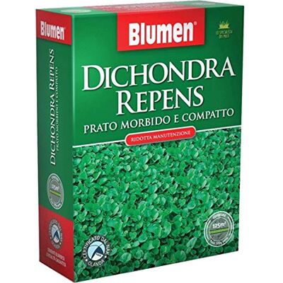 BLUMEN - Dichondra Reptans 500g - Plante de Gazon - Publicité BLUMEN - Dichondra Reptans 500g - Plante de Gazon - Publicité