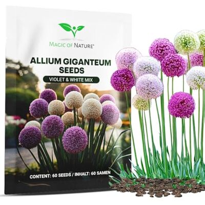 Magic of Nature : Graines d'Ail Géant (60 pces) Allium giganteum Mix - Publicité Magic of Nature : Graines d'Ail Géant (60 pces) Allium giganteum Mix - Publicité