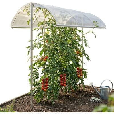 bellissa – Toit pour tomates réglable en hauteur de 125-185 cm en tissu aluminium Toit de protection pour plantes sans plastique pour tomates, concombres, haricots – Couverture contre les fortes - Publicité bellissa – Toit pour tomates réglable en hauteur de 125-185 cm en tissu aluminium Toit de protection pour plantes sans plastique pour tomates, concombres, haricots – Couverture contre les fortes - Publicité
