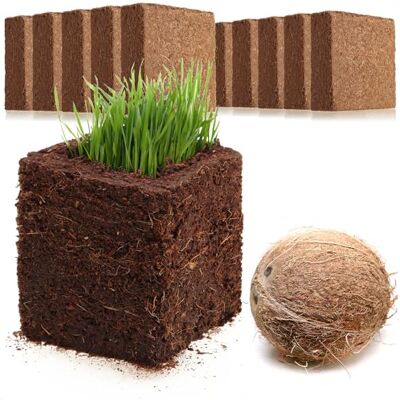 com-four ® 10x Terre de Culture de Noix de Coco, tranches de Noix de Coco briquettes gonflantes sans tourbe à base de fibre de coco pressée pour 10 litres de terreau - Publicité com-four ® 10x Terre de Culture de Noix de Coco, tranches de Noix de Coco briquettes gonflantes sans tourbe à base de fibre de coco pressée pour 10 litres de terreau - Publicité