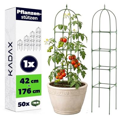 KADAX tuteur obélisque pour Plantes grimpantes 176 x 32 cm Vert avec 50 Clips Montage sans Outil métal avec revêtement Plastique antirouille pour Guidage Vertical Stable - Publicité KADAX tuteur obélisque pour Plantes grimpantes 176 x 32 cm Vert avec 50 Clips Montage sans Outil métal avec revêtement Plastique antirouille pour Guidage Vertical Stable - Publicité