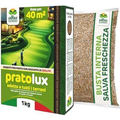 Albagarden Graines de gazon universelles résistantes – 40 m² – Pour zones ombragées et ensoleillées – Semences d'herbe pour tapis herbeux hiver été – Peut être piétiné – Croissance rapide pour tout - Publicité Albagarden Graines de gazon universelles résistantes – 40 m² – Pour zones ombragées et ensoleillées – Semences d'herbe pour tapis herbeux hiver été – Peut être piétiné – Croissance rapide pour tout - Publicité