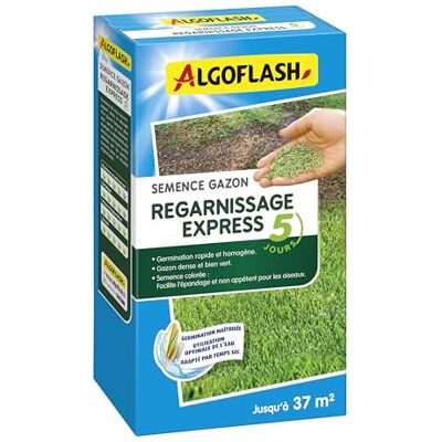 Algoflash Semence Gazon Regarnissage Express 5 Jours 800 g, Verte - Publicité Algoflash Semence Gazon Regarnissage Express 5 Jours 800 g, Verte - Publicité