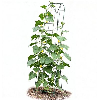 Bellissa Treillis pour légumes et concombres vert 179x39 cm - Accessoire jardin - Publicité Bellissa Treillis pour légumes et concombres vert 179x39 cm - Accessoire jardin - Publicité