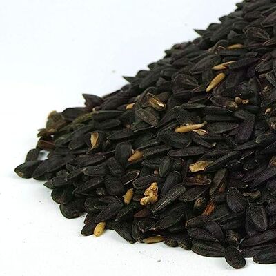 GardenersDream - Black Oil Sunflower Seeds - Oil Rich - Publicité GardenersDream - Black Oil Sunflower Seeds - Oil Rich - Publicité