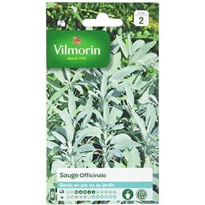 Vilmorin Sauge Officinale Plante vivace aromatique, vertus médicinales, floraison mellifère, culture facile en pot - Publicité Vilmorin Sauge Officinale Plante vivace aromatique, vertus médicinales, floraison mellifère, culture facile en pot - Publicité
