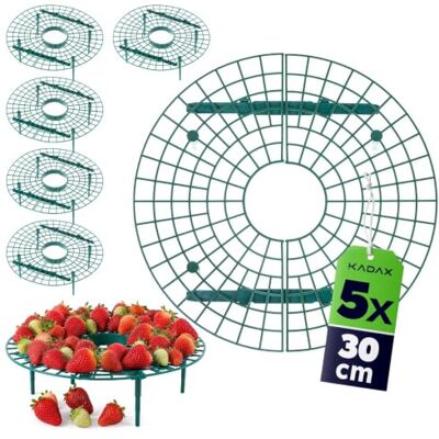 KADAX Lot de 5 supports pour fraises 30 cm Protection pour fraises En plastique Protection contre les escargots Pour plantes à fraises - Publicité KADAX Lot de 5 supports pour fraises 30 cm Protection pour fraises En plastique Protection contre les escargots Pour plantes à fraises - Publicité
